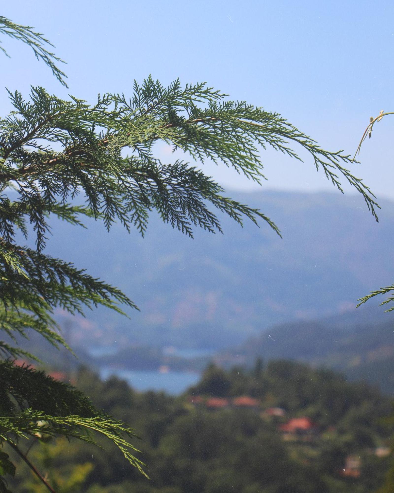 Willa Geres - Aldeia Turistica De Louredo Vieira do Minho Zewnętrze zdjęcie